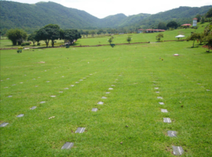 Coroa de Flores Cemitério Municipal (São Pedro) (Uberlândia/MG)